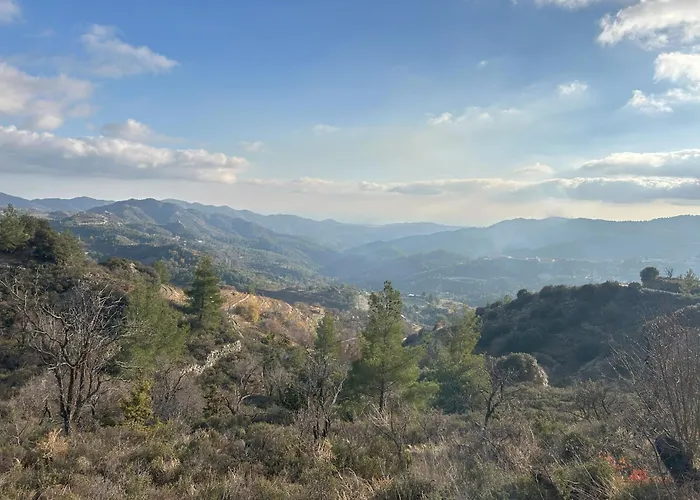 Cherry House Chandria