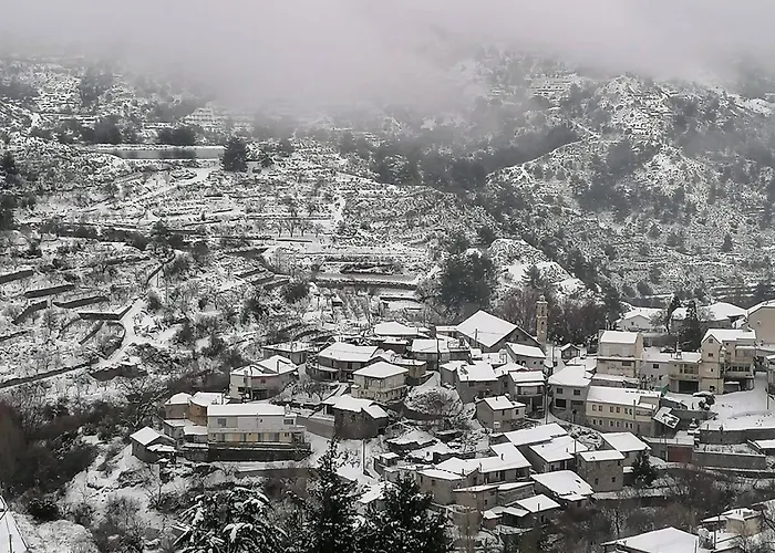 Cherry House * Chandria